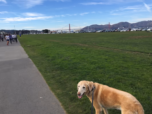 Marina Green photo 2